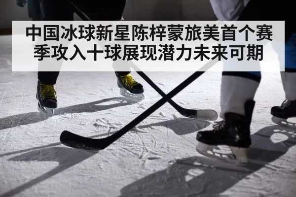 中国冰球新星陈梓蒙旅美首个赛季攻入十球展现潜力未来可期